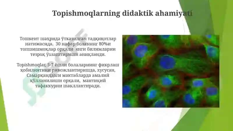 Topishmoqlarming etnopedagogik xususiyatlari bo'yicha test va blis so'rovnoma topshiriqlar 3