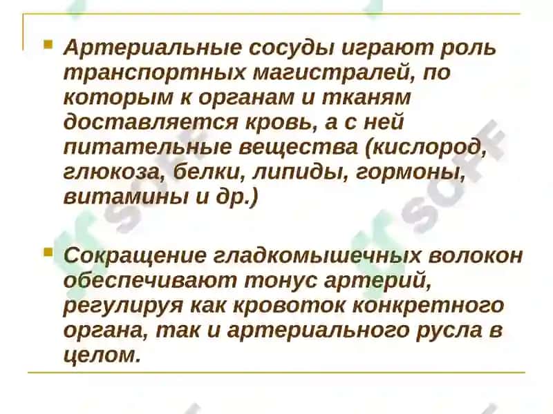 Хронические облитерирующие заболевания артерий 3
