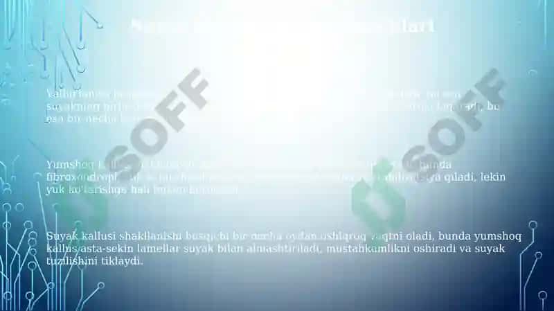 Oyoq suyaklari birlashuvi 3