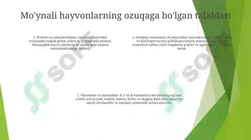 Móyna Beruvchi Hayvonlarni Beradigan Mahsulot Turiga Qarab Oziqlantirish 3