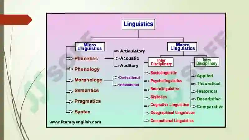 Contrastive linguistics 3