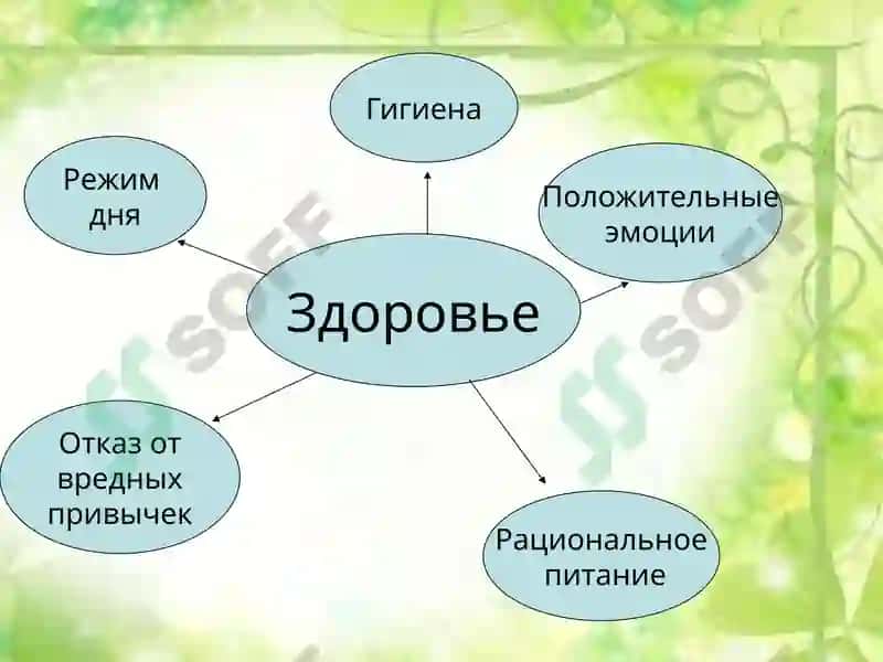Гигиена 3