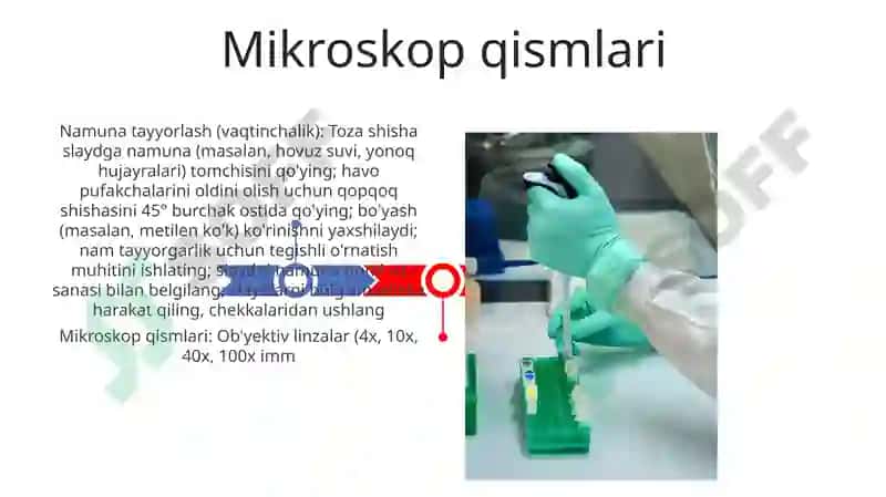 Mikrosikop 3