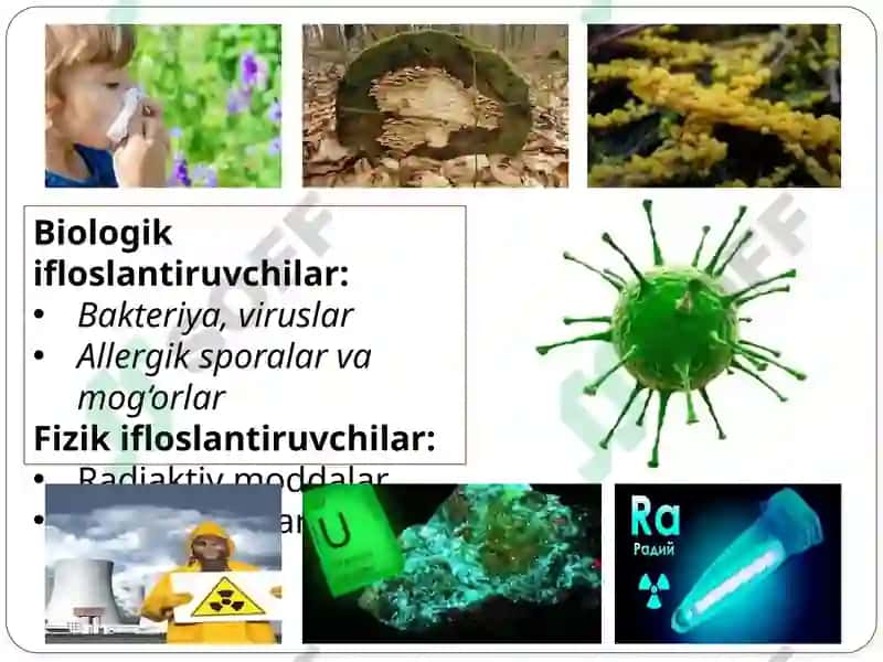 Havo ifloslanishining inson organizmiga ta'siri 3