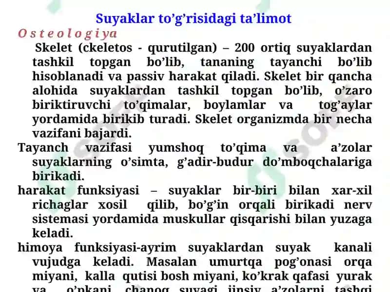 Osteologiya: Skеlet sistеmаsini umumiy tа’rifi 3