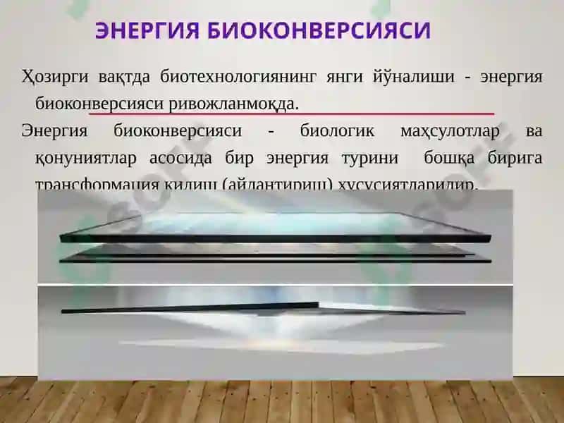 Биотехнология ёрдамида экологик вазиятни сақлаш ва қайта тиклаш жараёнлари 3
