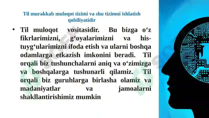 TIL VA TAFAKKUR, LISON VA NUTQ MUNOSABATI 3