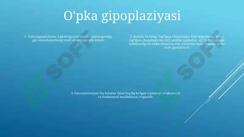 Homila Va Yangi Tug'Ilgan Chaqaloqlar Pnevmopatiyasi Patoanatomiyasi 3
