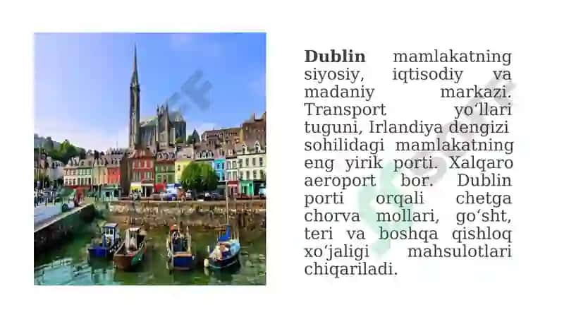 Dublin-Irlandiya: Tarixi, Aholisi, Iqtisodiyoti va Turmush Tarzi 3