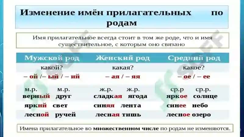 Абдуллаева Мавжуда Хабибуллаевна 3