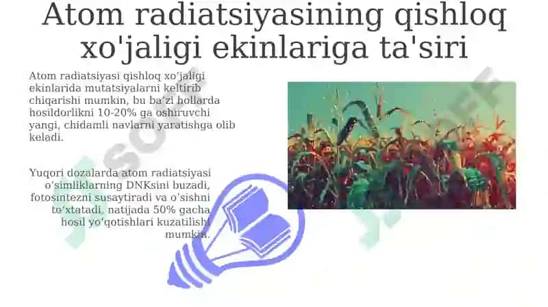 Atom nurlarining qishloq xo'jalik ekinlariga ta'sir effektlari 3