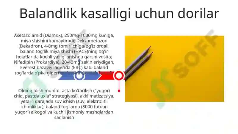 Balandlikka sakrash mavzusida taqdimot 3
