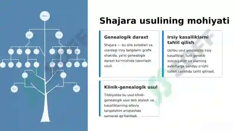 Shajara usuli 3