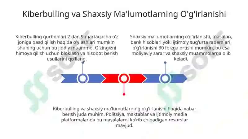 Kiberbulling va Shaxsiy Ma'lumotlarning O'g'irlanishi 3