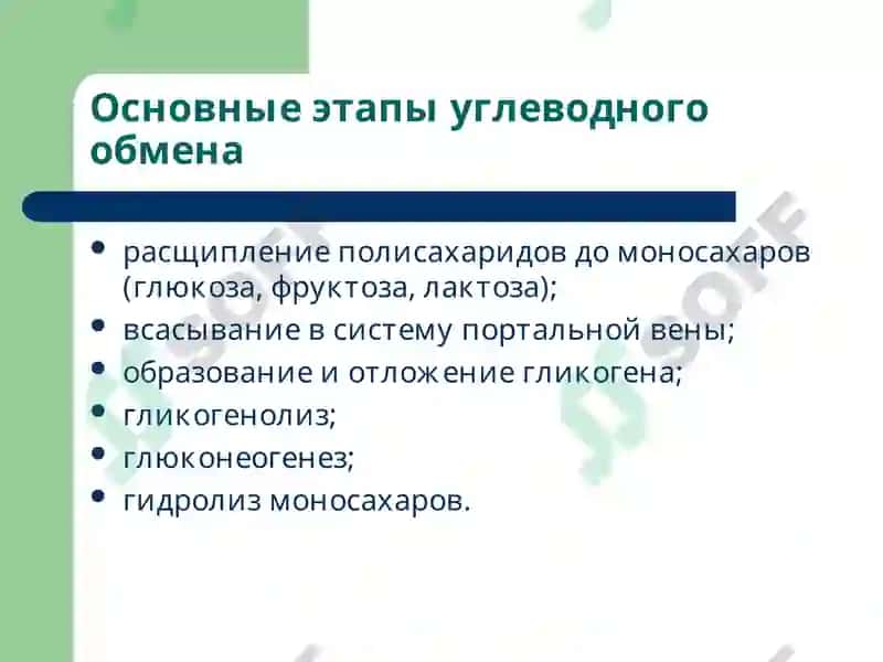 Лекция 8 Патофизиология обмена углеводов и липидов 3