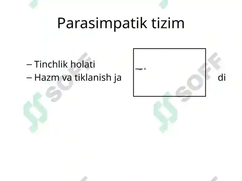 Vegetativ nerv sistemasi 3