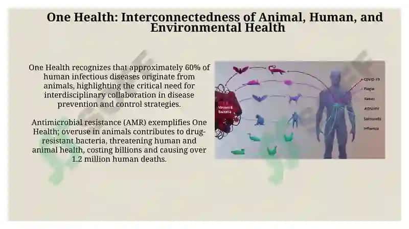 One Health: Interconnectedness of Animal, Human, and Environmental Health 3