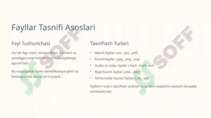 Ob'ektli Ma'lumotlar va Fayllar Tasnifi 3