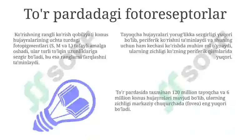 Inson ko'rish analizatori etiologiyasi va patalogiyasi 3