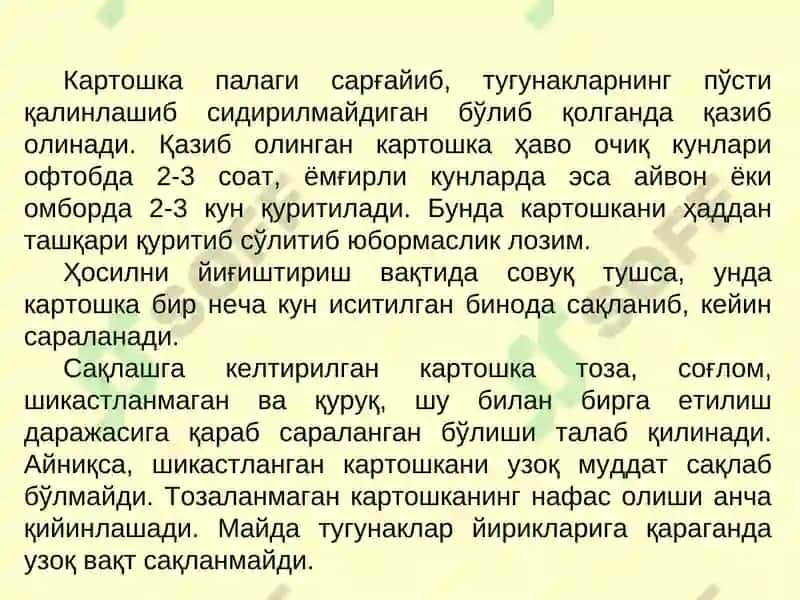 Картошка ва полиз маҳсулотларини сақлаш технологияси 3
