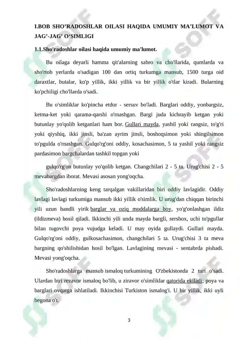 SHO’RADOSHLAR OILASI HAQIDA UMUMIY MA’LUMOT VA JAG’-JAG’ O‘SIMLIGI 3