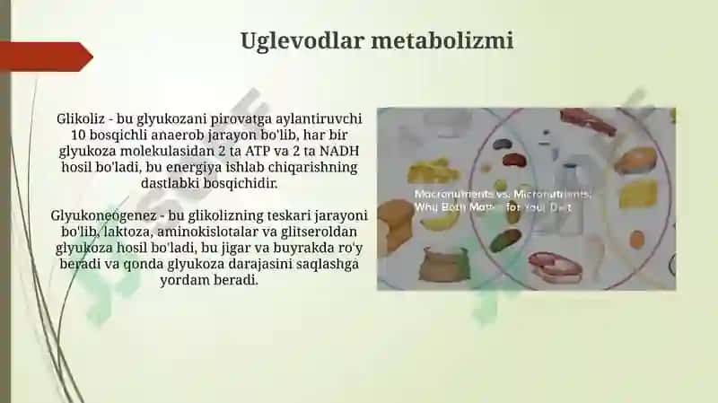 Uglevodlar, Yog'lar va Oqsillar Metabolizmi 3
