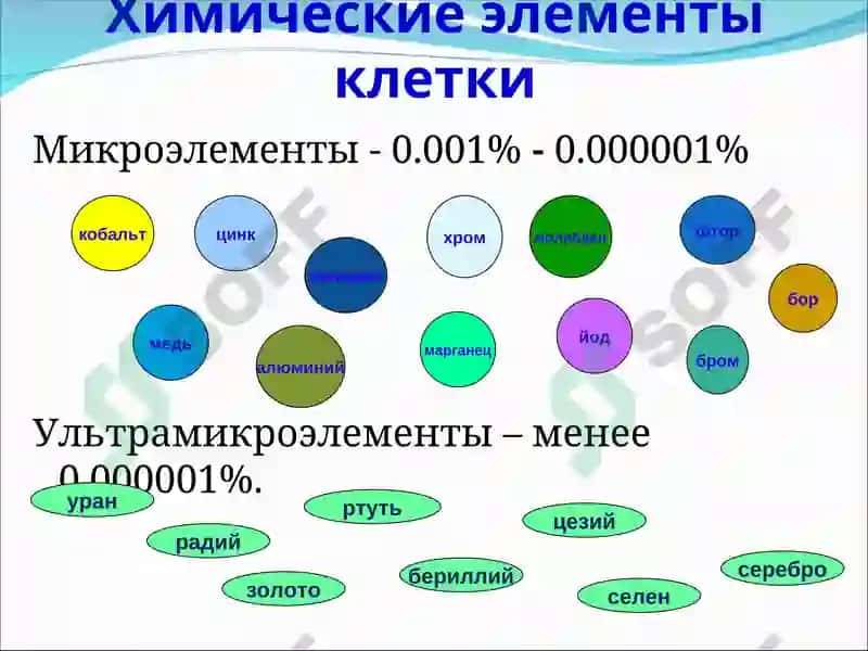 Химические элементы клетки 3