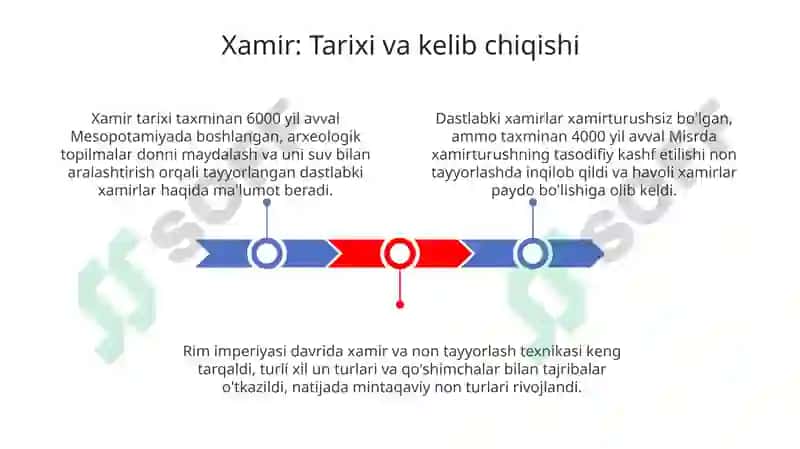 Xamir 3