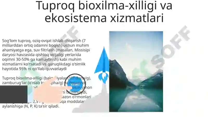 Tuproqning Ekosistemalardagi Muhim Vazifalari 3