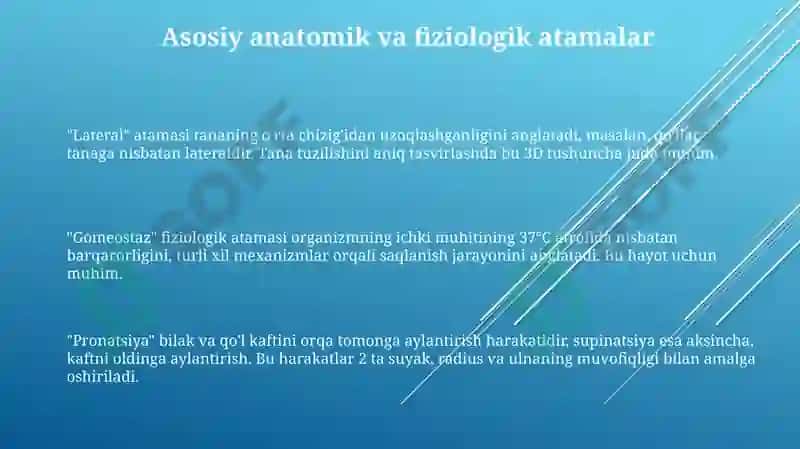 Odam organizmiga oid terminlar ishtirokida taqdimot 3
