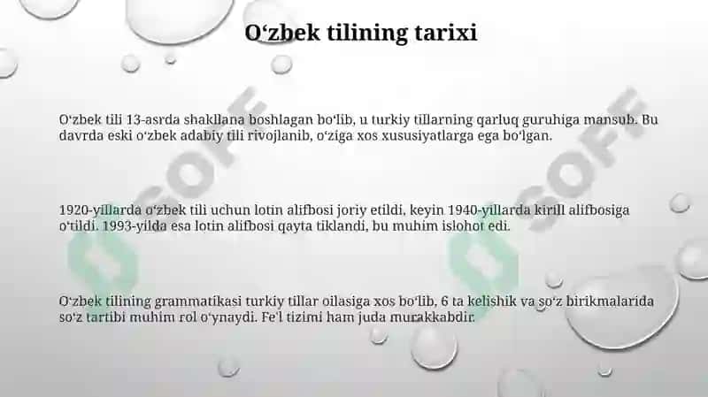 O'zbek tilining tarixi, shakllanishi va taraqqiyot bosqichlari 3