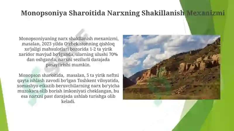 Monopsoniya sharoitida narxning shakllanishi 3