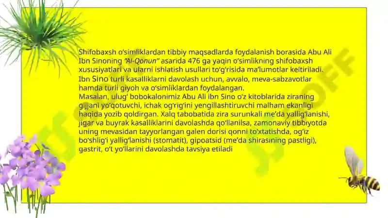 Surxonvohasining xalq tabobati 3