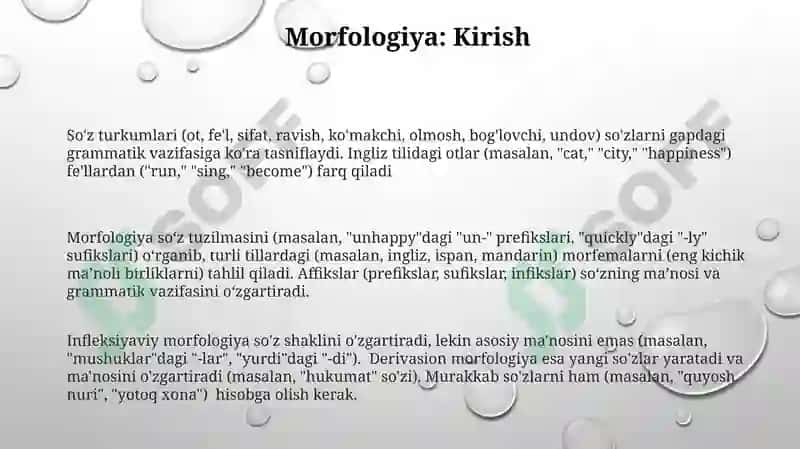 Morfologiya. Soʻz turkumlari 3