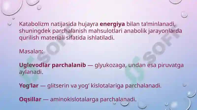Katabolizmning umumiy  yo‘llari 3