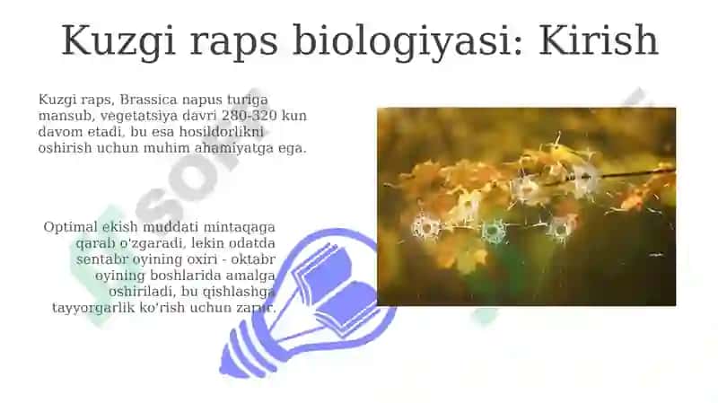 Kuzgi raps biologiyasi va tehnalogiyalari 3