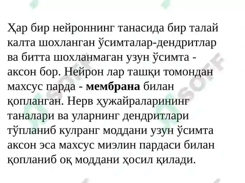 Nerv tizimi umumiy fiziologiyasi 3
