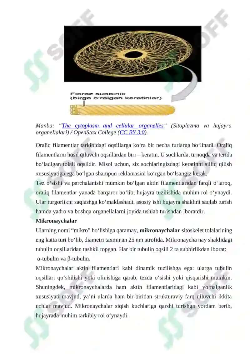 Hujayra Markazi va Mikronaychalarning O‘ziga Xosliklari va Vazifalari 3