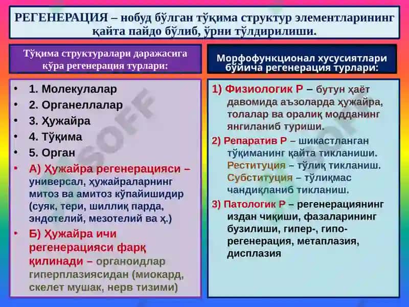 Мосланиш-ўрин алмашиниш жараёнлари. Гипертрофия, атрофия, гиперплазия, метаплазия, дисплазия 3
