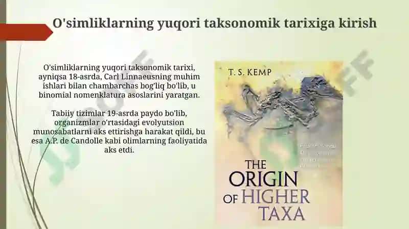 O'simliklarning yuqori taksonomik tarixiga kirish va ilk tasniflash tizimlari 3