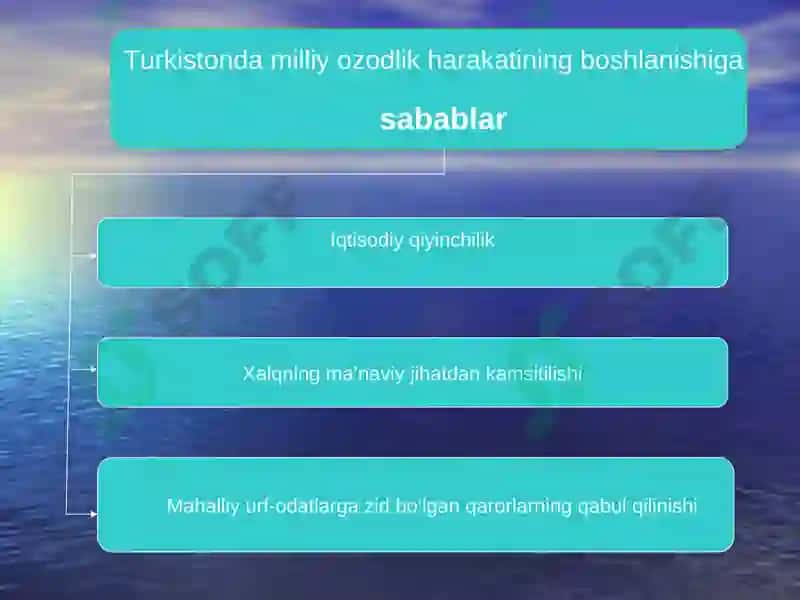 Turkistonda milliy ozodlik harakatlarining boshlanishi va uning sabablari 3