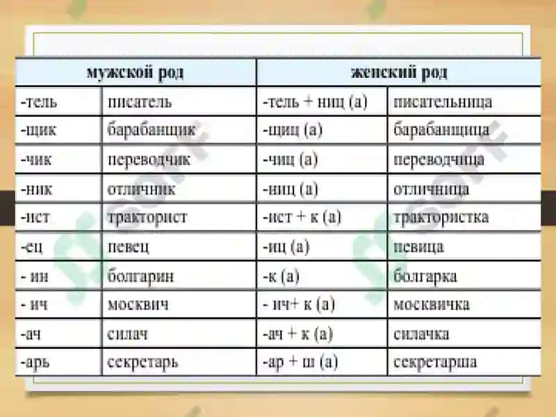 Определение рода имен существительных по значению и окончанию 3