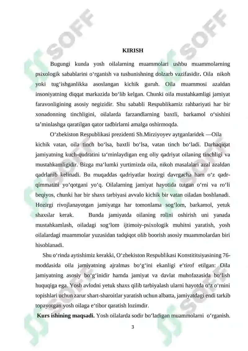 YOSH OILA TUSHUNCHASI, ASOSIY MUAMMOLARI VA ULAR BILA IJTIMOIY ISHNING ASOSIY YO‘NALISHLARI 3