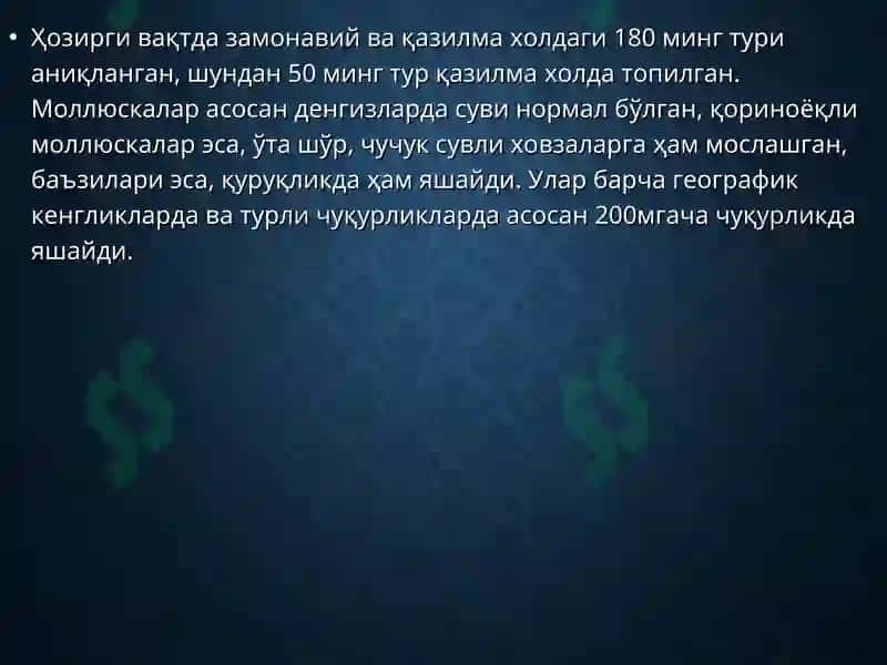 Mollusca – моллюскалар типии 3