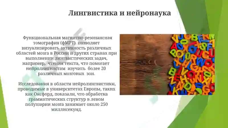 Языкознание как наука и его связь с другими науками 3