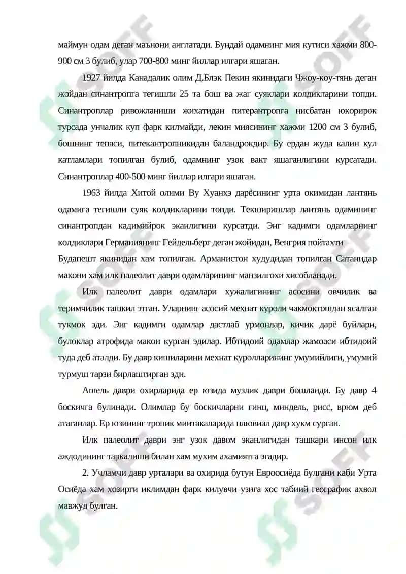Илк палеолит даври археологияси 3