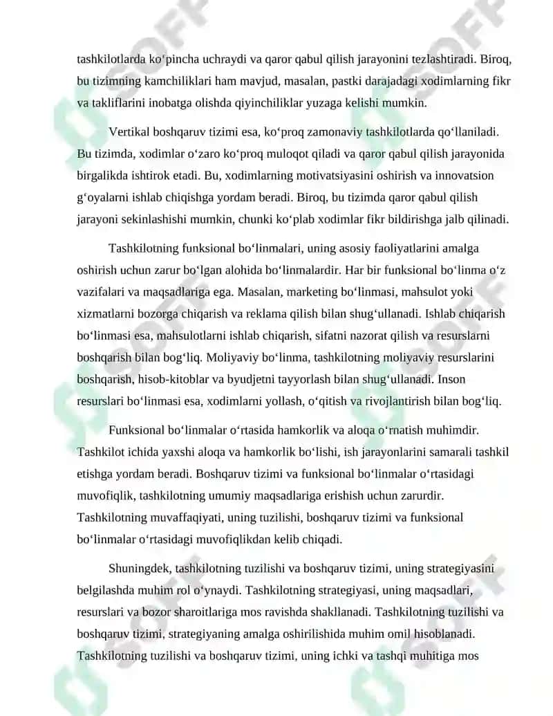 Biznesni Tashkil Etish Tuzilishi va Strategiyasi 3