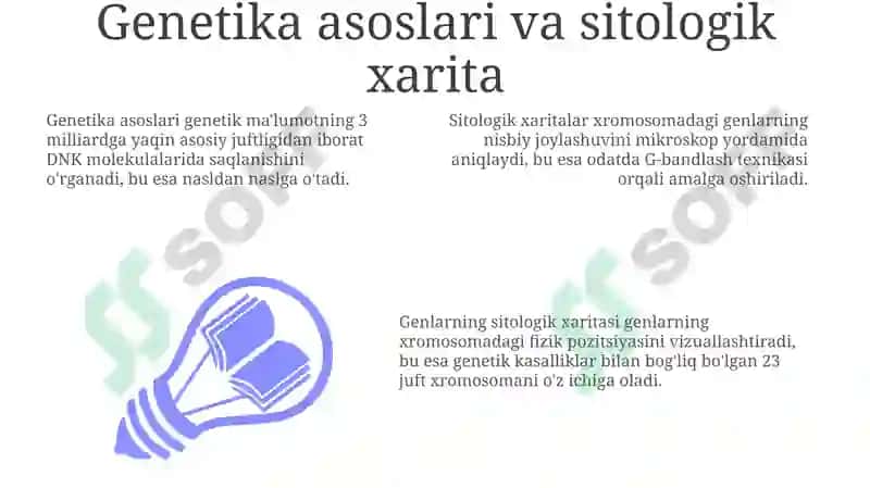 Genetika asoslari va sitologik xarita 3