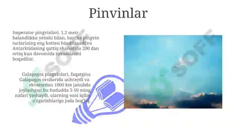 Qushlar turlari va ular haqida malumotlar 3