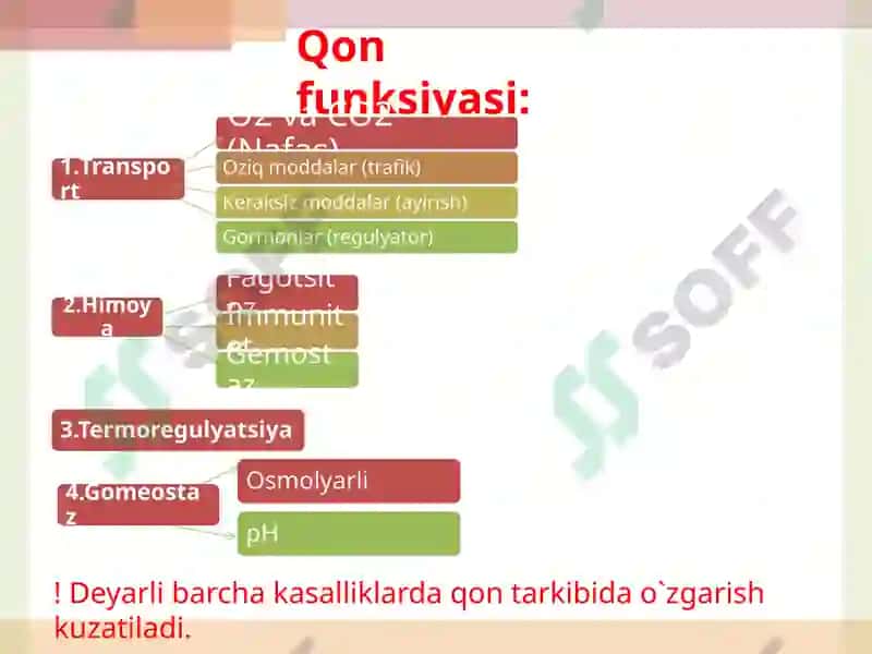 Qo`zg`aluvchan to`qimalarda bioeletrik hodisalar. Eritrotsitlar fiziologiyasi. Gemoglobin. (Laboratoriya mashg`uloti) 3